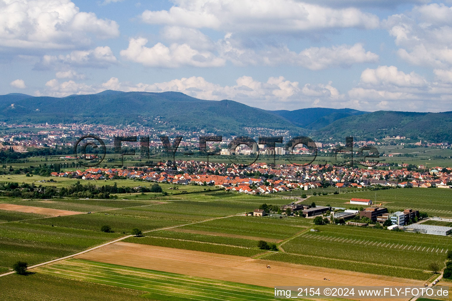 Enregistrement par drone de Quartier Mußbach in Neustadt an der Weinstraße dans le département Rhénanie-Palatinat, Allemagne