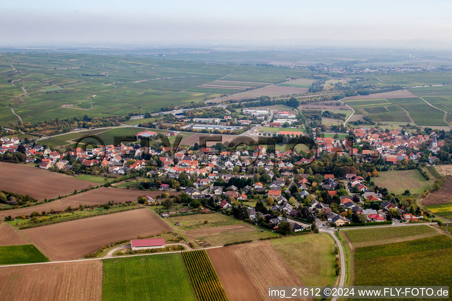 Vue aérienne de Champs agricoles et surfaces utilisables à Gundersheim dans le département Rhénanie-Palatinat, Allemagne