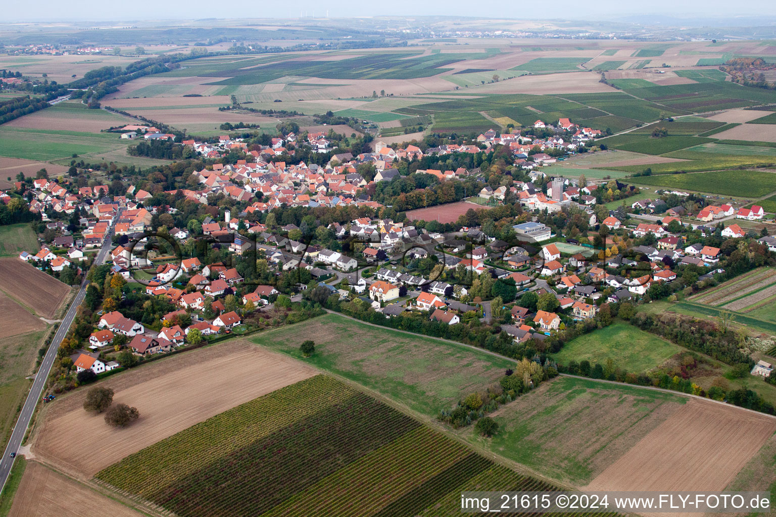 Vue aérienne de Eppelsheim dans le département Rhénanie-Palatinat, Allemagne