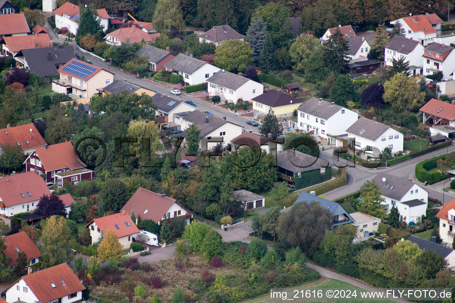 Vue aérienne de Dans le jardin du moulin à Eppelsheim dans le département Rhénanie-Palatinat, Allemagne