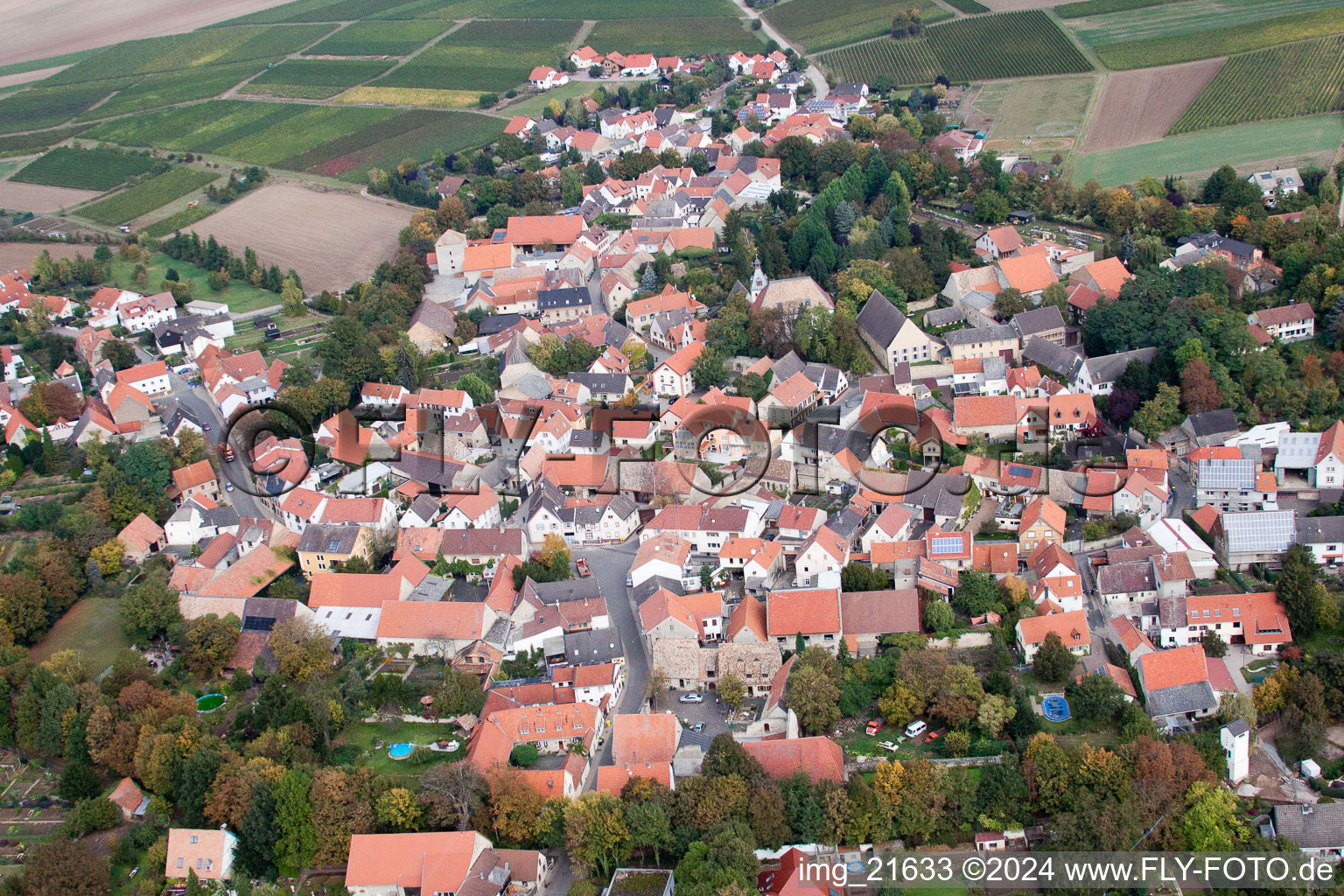 Vue aérienne de Champs agricoles et surfaces utilisables à Eppelsheim dans le département Rhénanie-Palatinat, Allemagne
