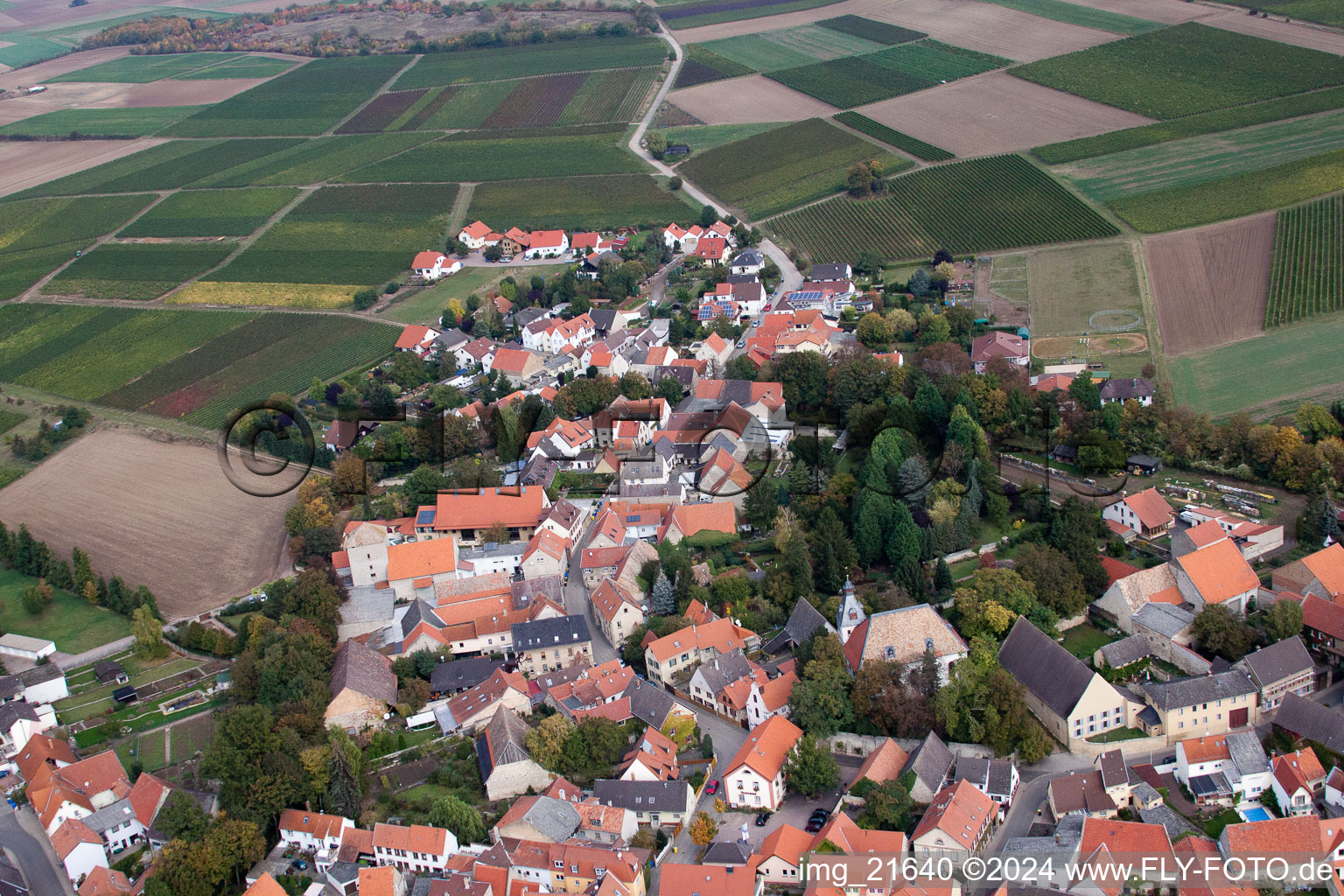 Eppelsheim dans le département Rhénanie-Palatinat, Allemagne vue d'en haut