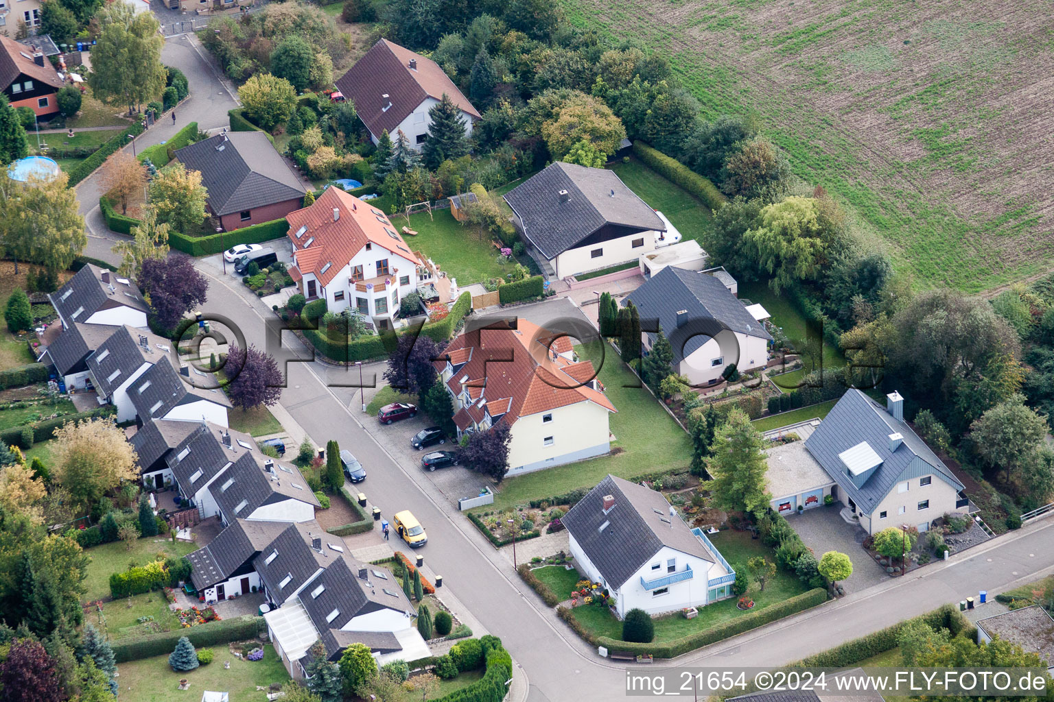 Eppelsheim dans le département Rhénanie-Palatinat, Allemagne vue du ciel