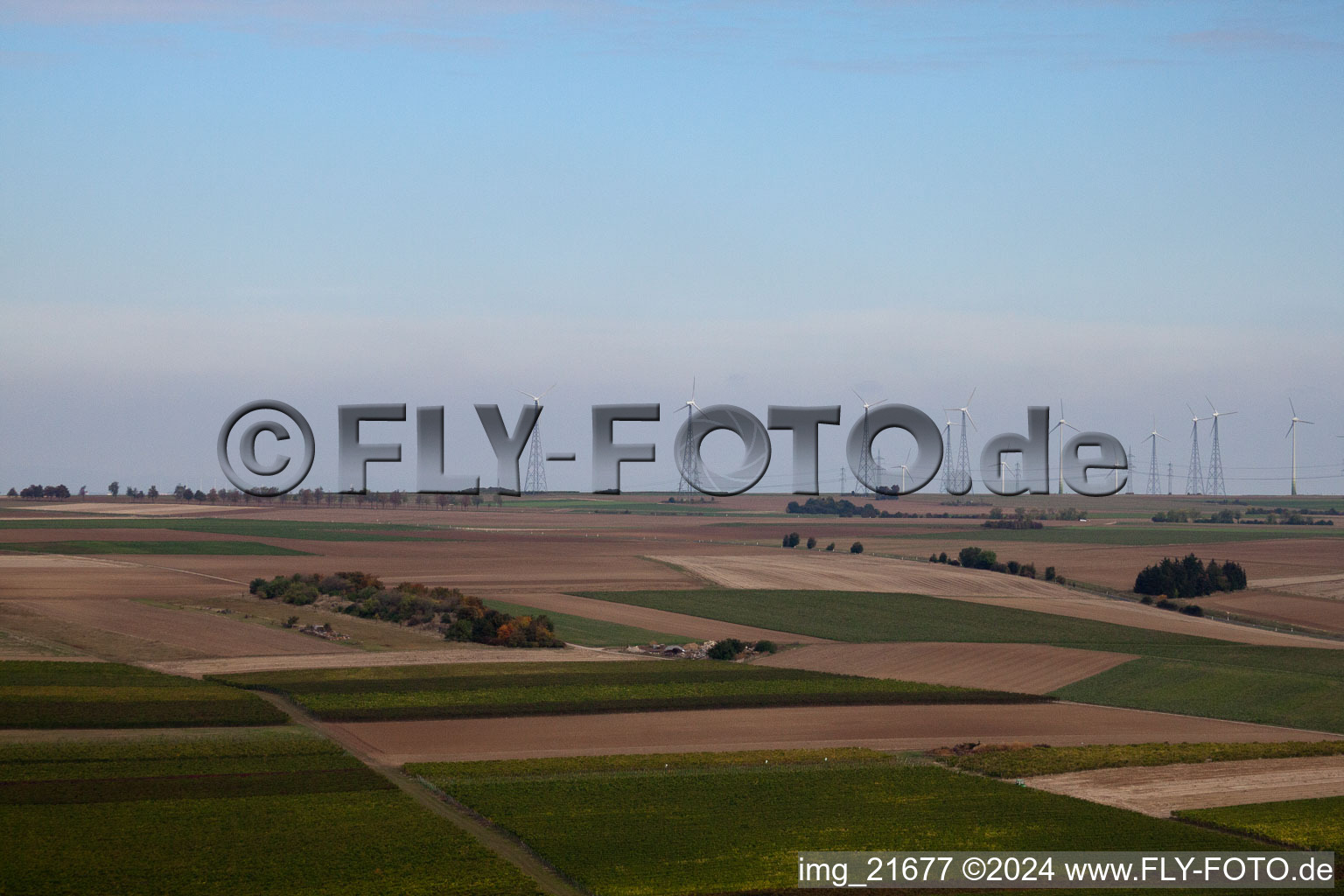 Eppelsheim dans le département Rhénanie-Palatinat, Allemagne vue d'en haut