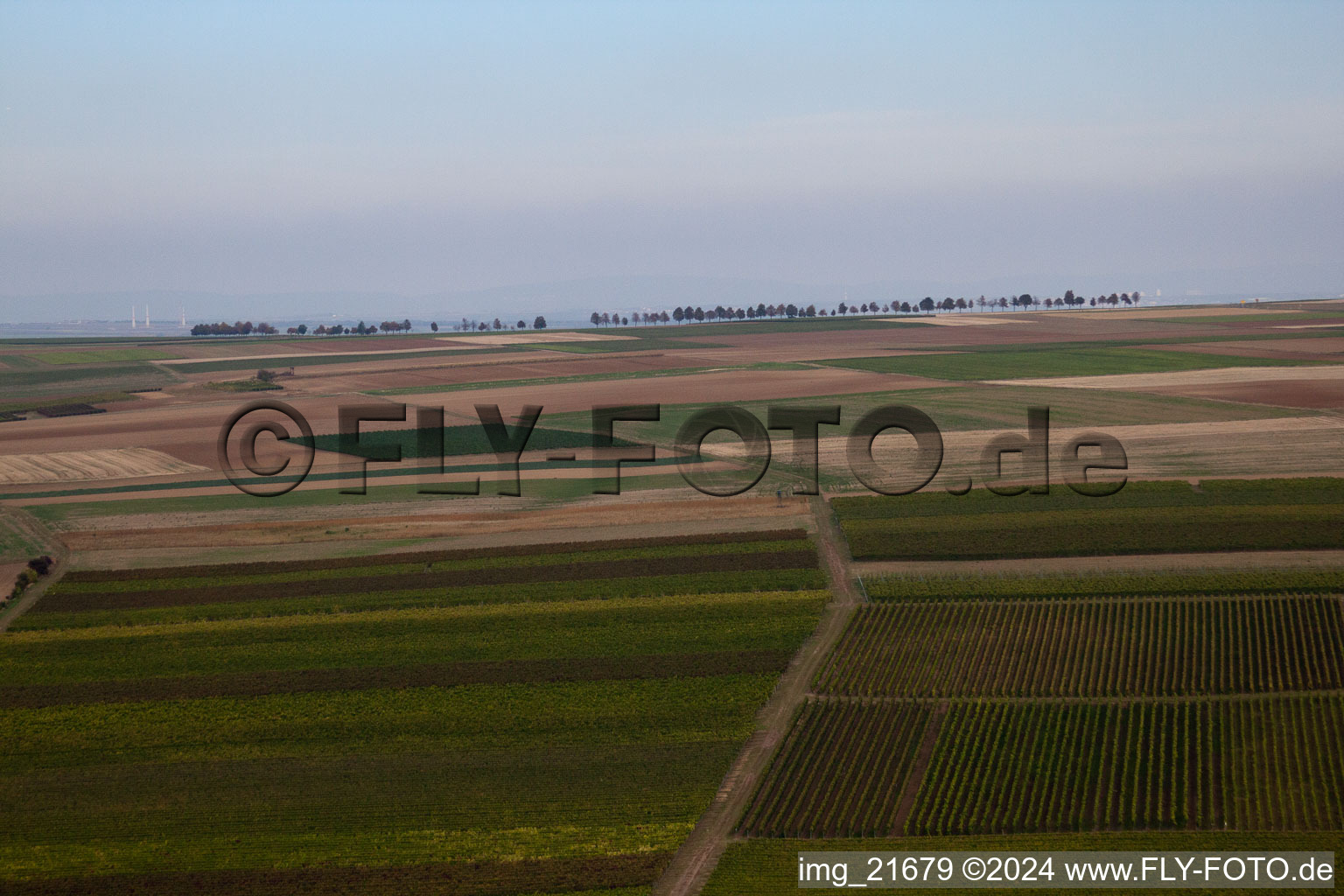 Eppelsheim dans le département Rhénanie-Palatinat, Allemagne depuis l'avion