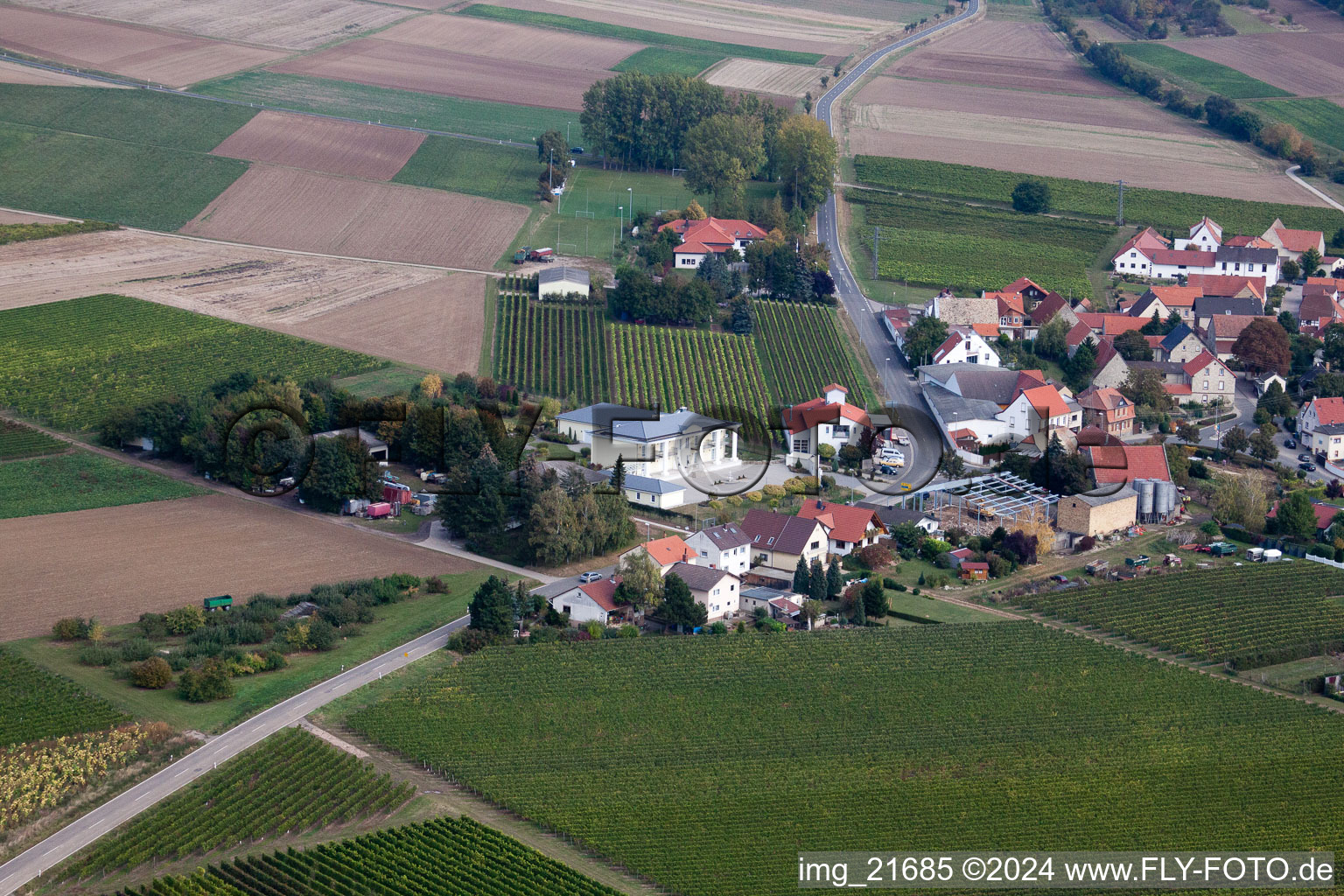 Eppelsheim dans le département Rhénanie-Palatinat, Allemagne du point de vue du drone