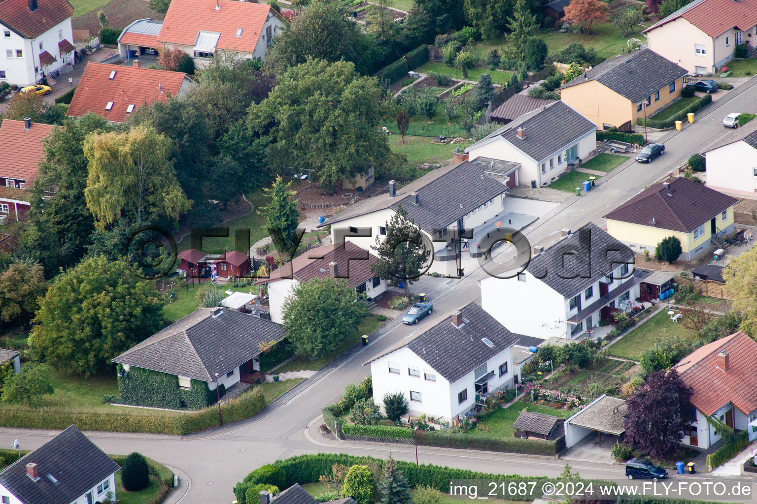 Photographie aérienne de Dans le jardin du moulin à Eppelsheim dans le département Rhénanie-Palatinat, Allemagne