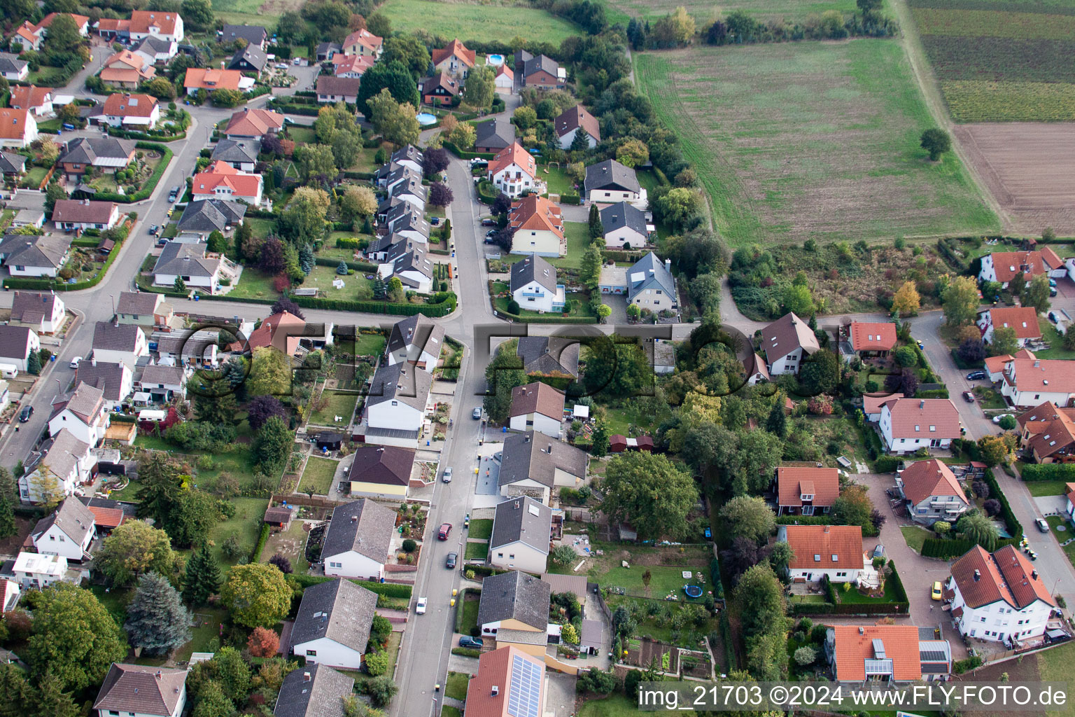 Photographie aérienne de Eppelsheim dans le département Rhénanie-Palatinat, Allemagne