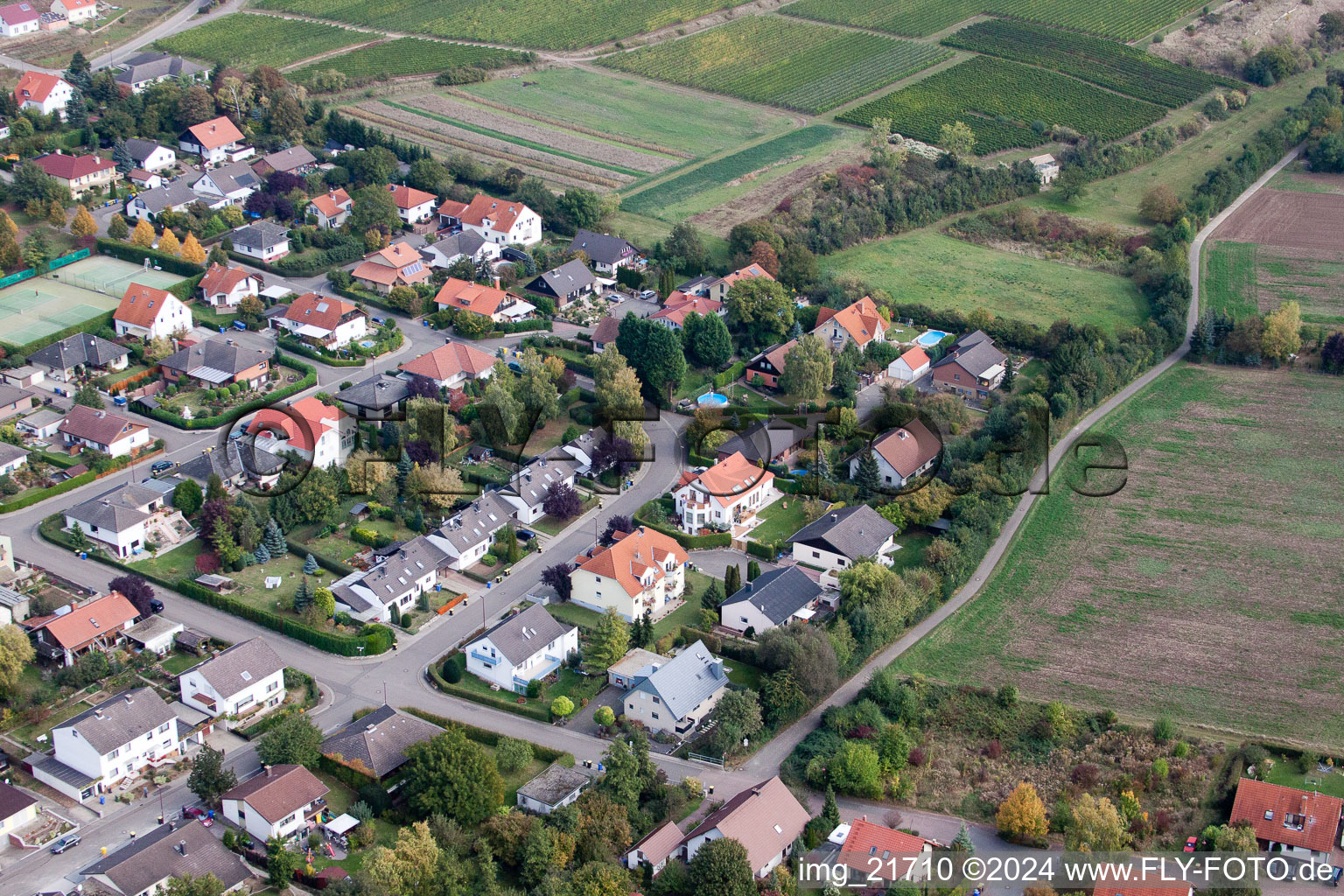 Eppelsheim dans le département Rhénanie-Palatinat, Allemagne d'en haut