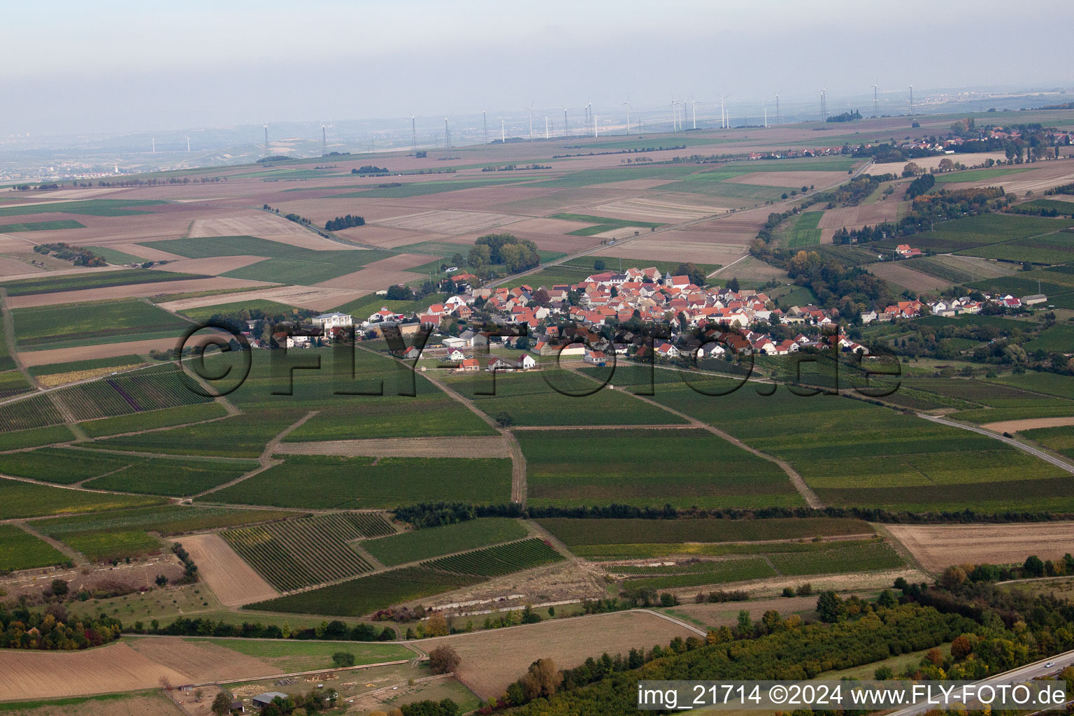 Vue aérienne de Hangen-Weisheim dans le département Rhénanie-Palatinat, Allemagne