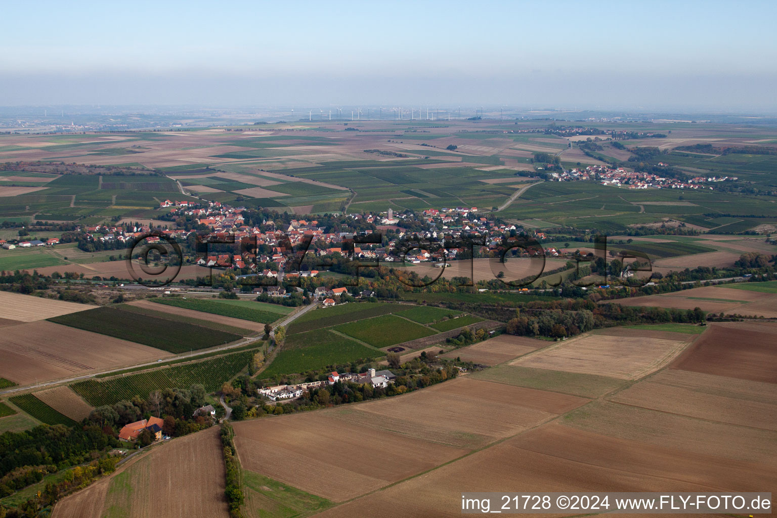 Photographie aérienne de Ober-Flörsheim dans le département Rhénanie-Palatinat, Allemagne