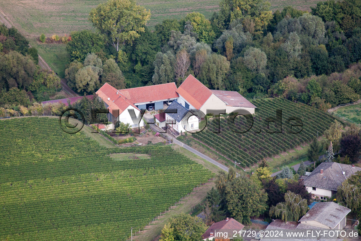 Vue oblique de Ober-Flörsheim dans le département Rhénanie-Palatinat, Allemagne