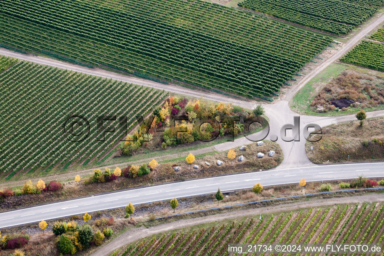 Ober-Flörsheim dans le département Rhénanie-Palatinat, Allemagne vue d'en haut