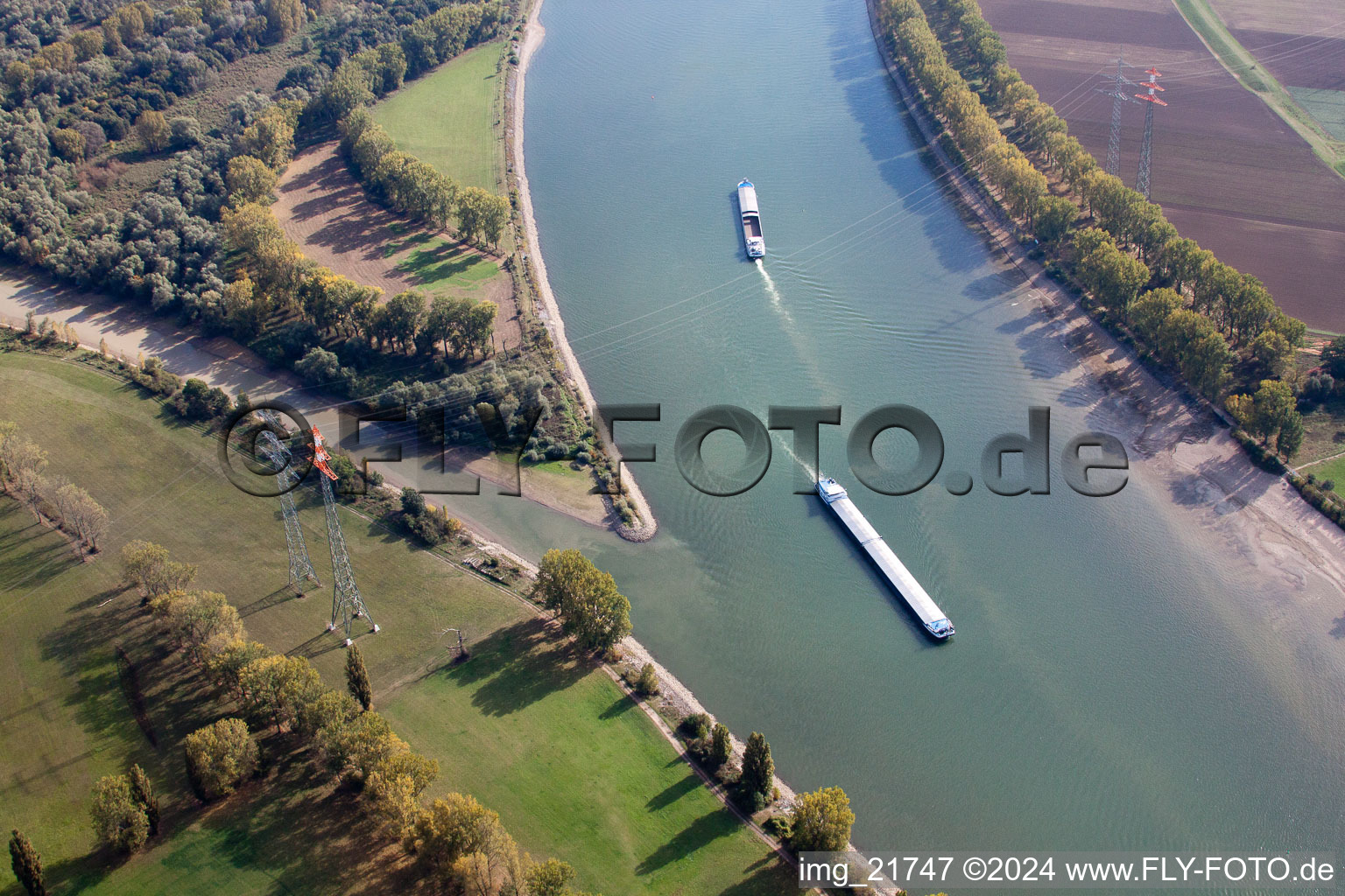 Vue aérienne de Zones riveraines le long de l'embouchure de l'estuaire du Lampertheimer Altrhein à Worms. C'est la frontière entre les Länder de Hesse et de Rhénanie-Palatinat. à Lampertheim dans le département Hesse, Allemagne