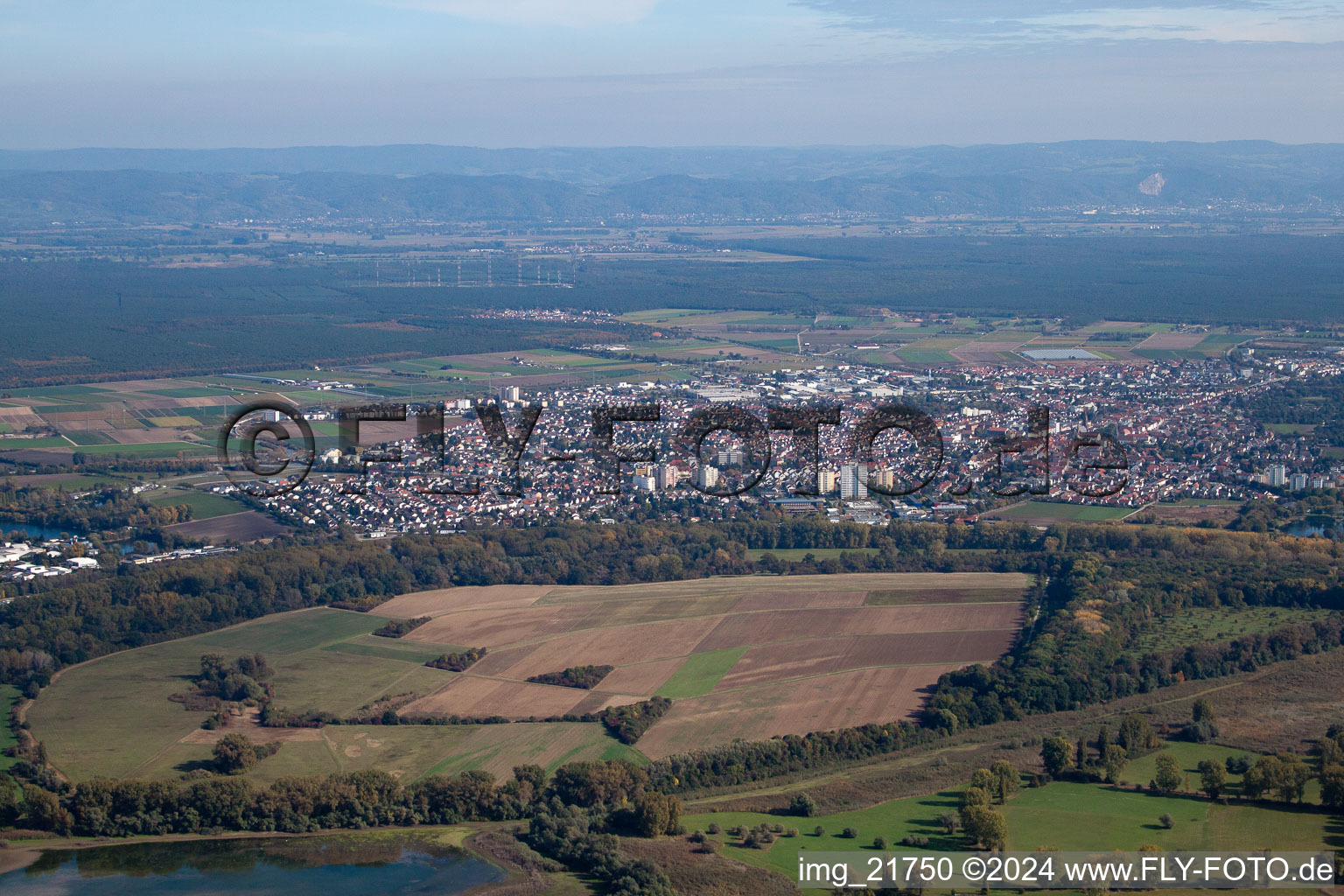 Image drone de Lampertheim dans le département Hesse, Allemagne