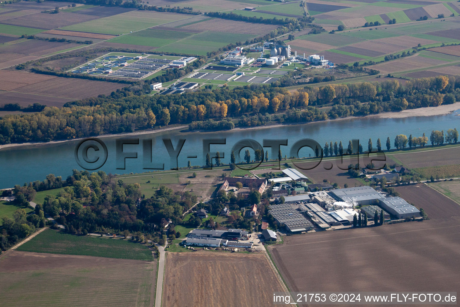 Vue aérienne de Frankenthal (Palatinat), Petersau à Petersau dans le département Rhénanie-Palatinat, Allemagne