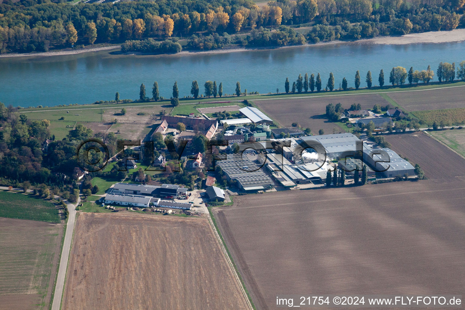 Vue aérienne de Propriété du domaine Petersau, producteur de chips Chio, au bord du Rhin dans le district de Petersau (Palatinat) à le quartier Mörsch in Frankenthal dans le département Rhénanie-Palatinat, Allemagne