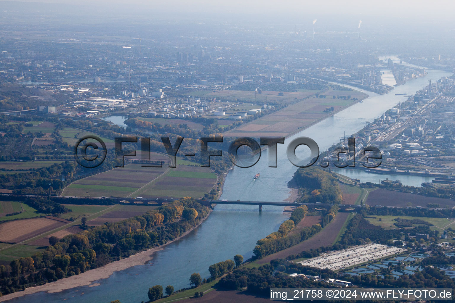 Vue aérienne de Île de Friesenheim à le quartier Sandhofen in Mannheim dans le département Bade-Wurtemberg, Allemagne