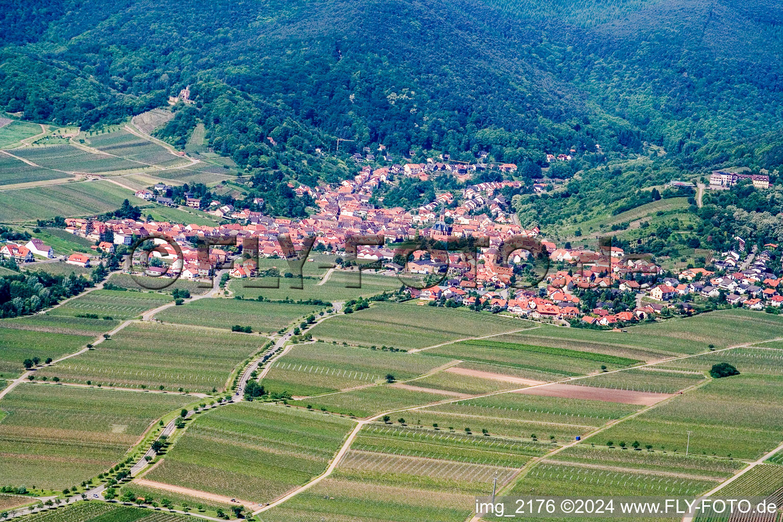 Enregistrement par drone de Sankt Martin dans le département Rhénanie-Palatinat, Allemagne