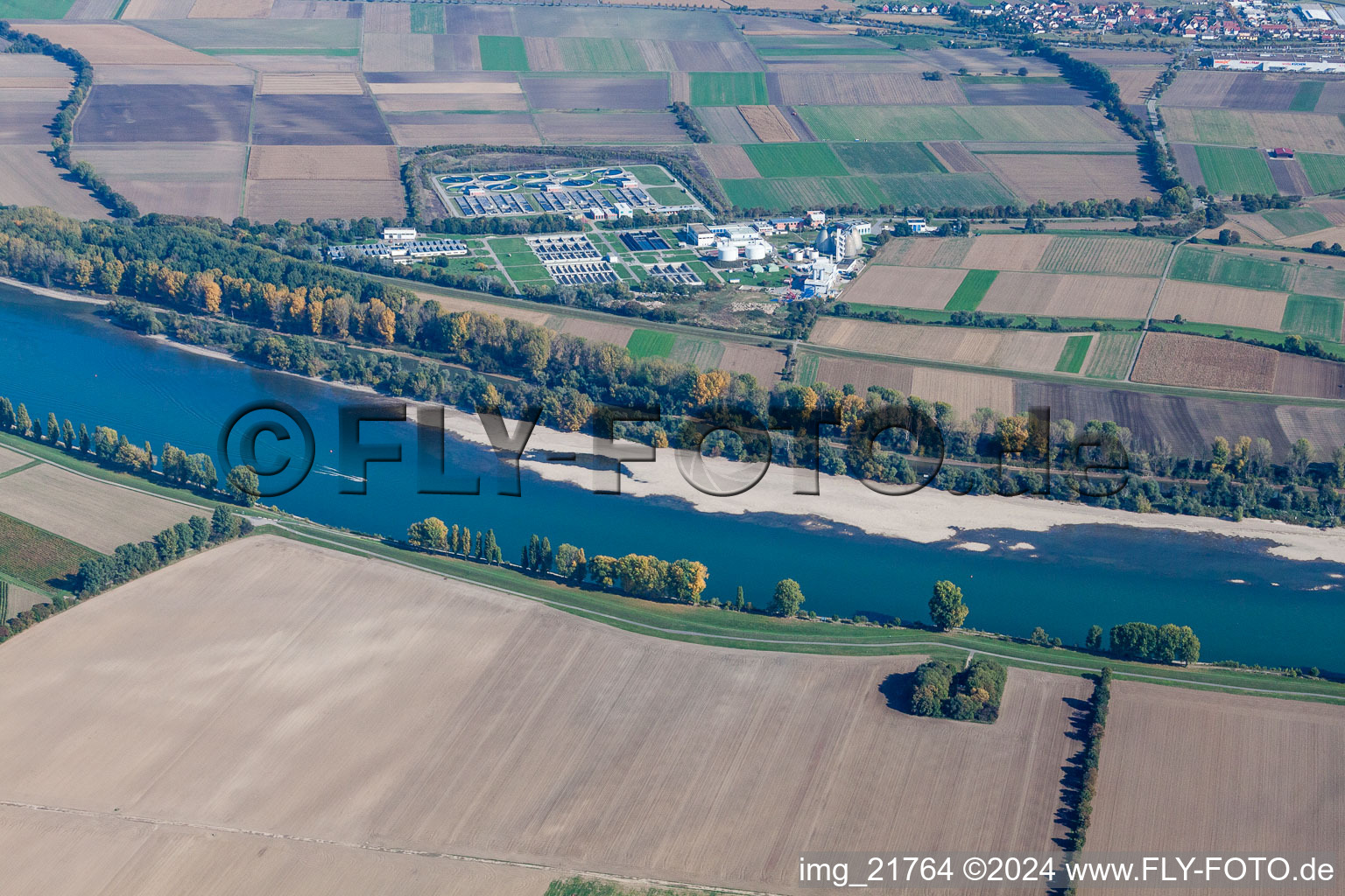 Vue aérienne de Bancs de sable au bord du Rhin et station d'épuration Sandhofen à le quartier Sandhofen in Mannheim dans le département Bade-Wurtemberg, Allemagne