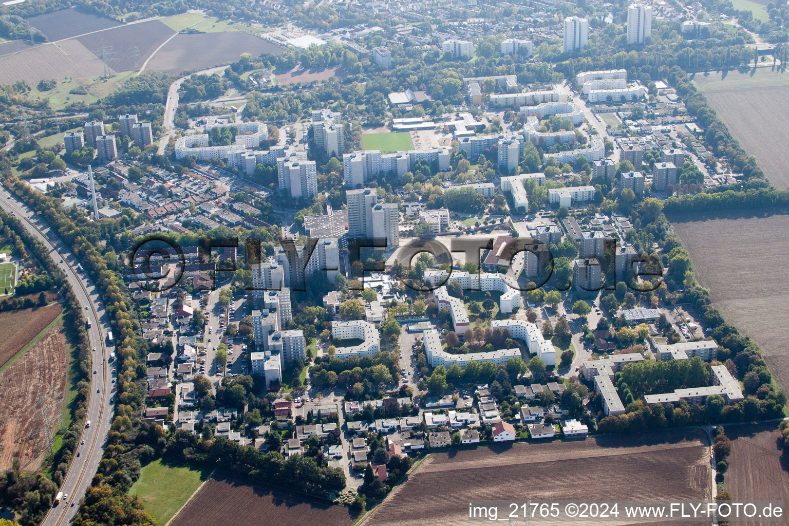 Vue aérienne de Oppau-Pfingstweide, Ring de Londres à Pfingtsweide dans le département Rhénanie-Palatinat, Allemagne