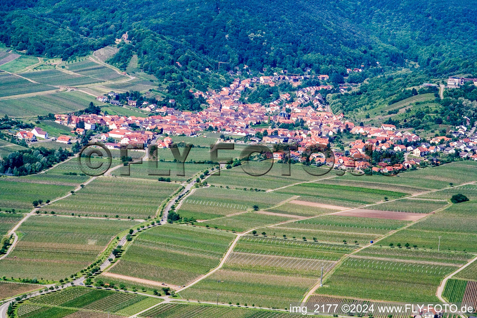 Sankt Martin dans le département Rhénanie-Palatinat, Allemagne depuis l'avion