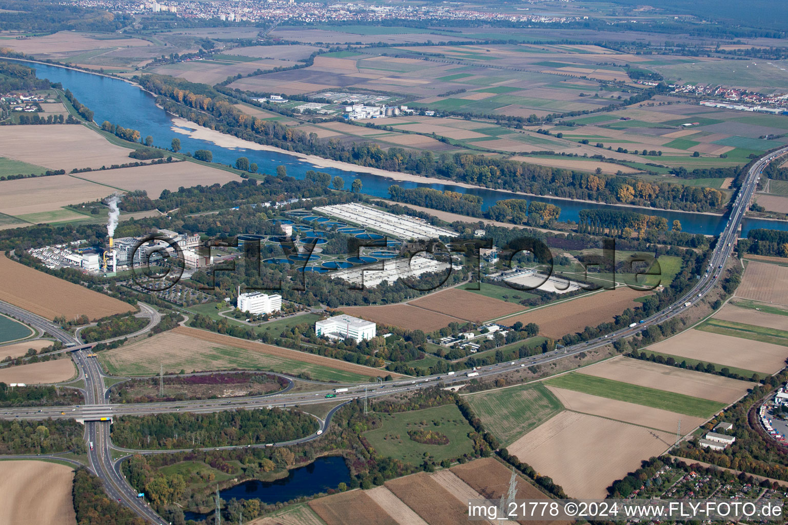 Vue aérienne de Station d'épuration BASF à le quartier Mörsch in Frankenthal dans le département Rhénanie-Palatinat, Allemagne