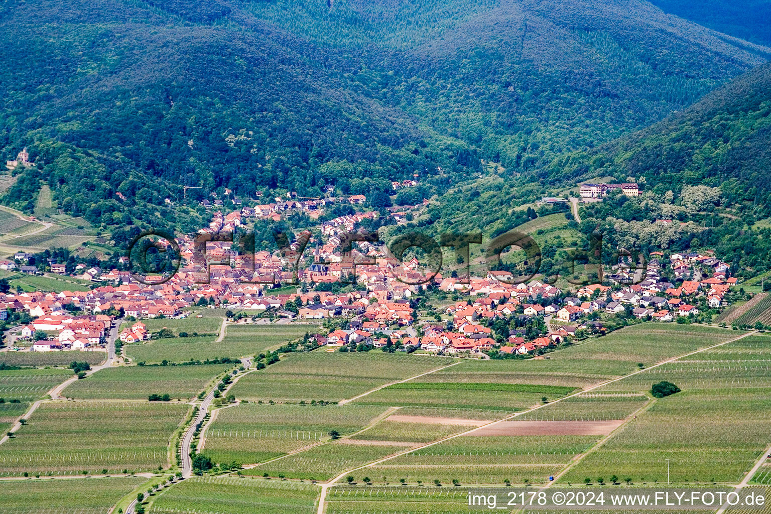 Vue d'oiseau de Sankt Martin dans le département Rhénanie-Palatinat, Allemagne