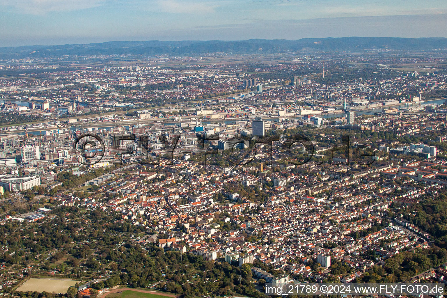 Vue aérienne de Quartier Friesenheim in Ludwigshafen am Rhein dans le département Rhénanie-Palatinat, Allemagne