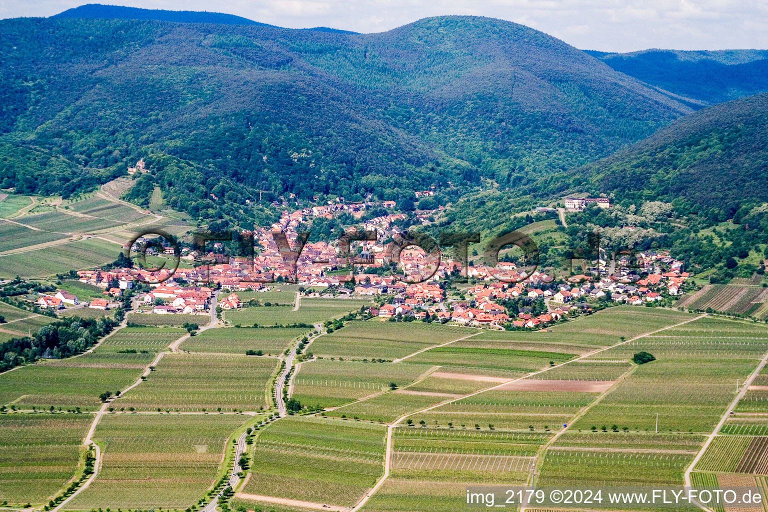 Sankt Martin dans le département Rhénanie-Palatinat, Allemagne vue du ciel