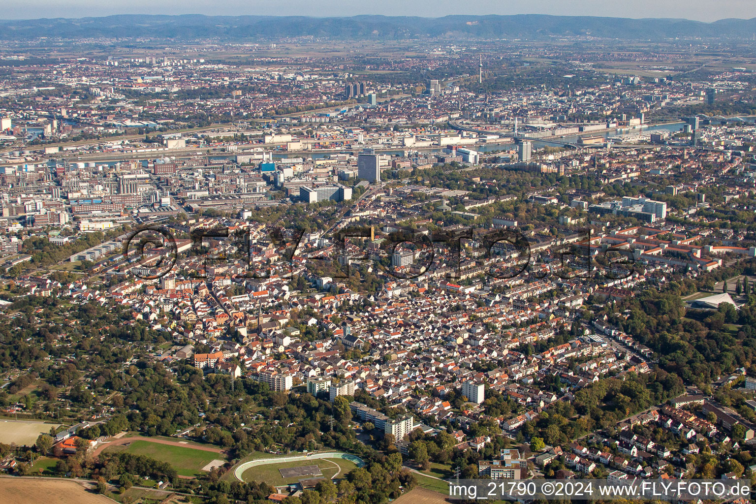 Photographie aérienne de Quartier Friesenheim in Ludwigshafen am Rhein dans le département Rhénanie-Palatinat, Allemagne