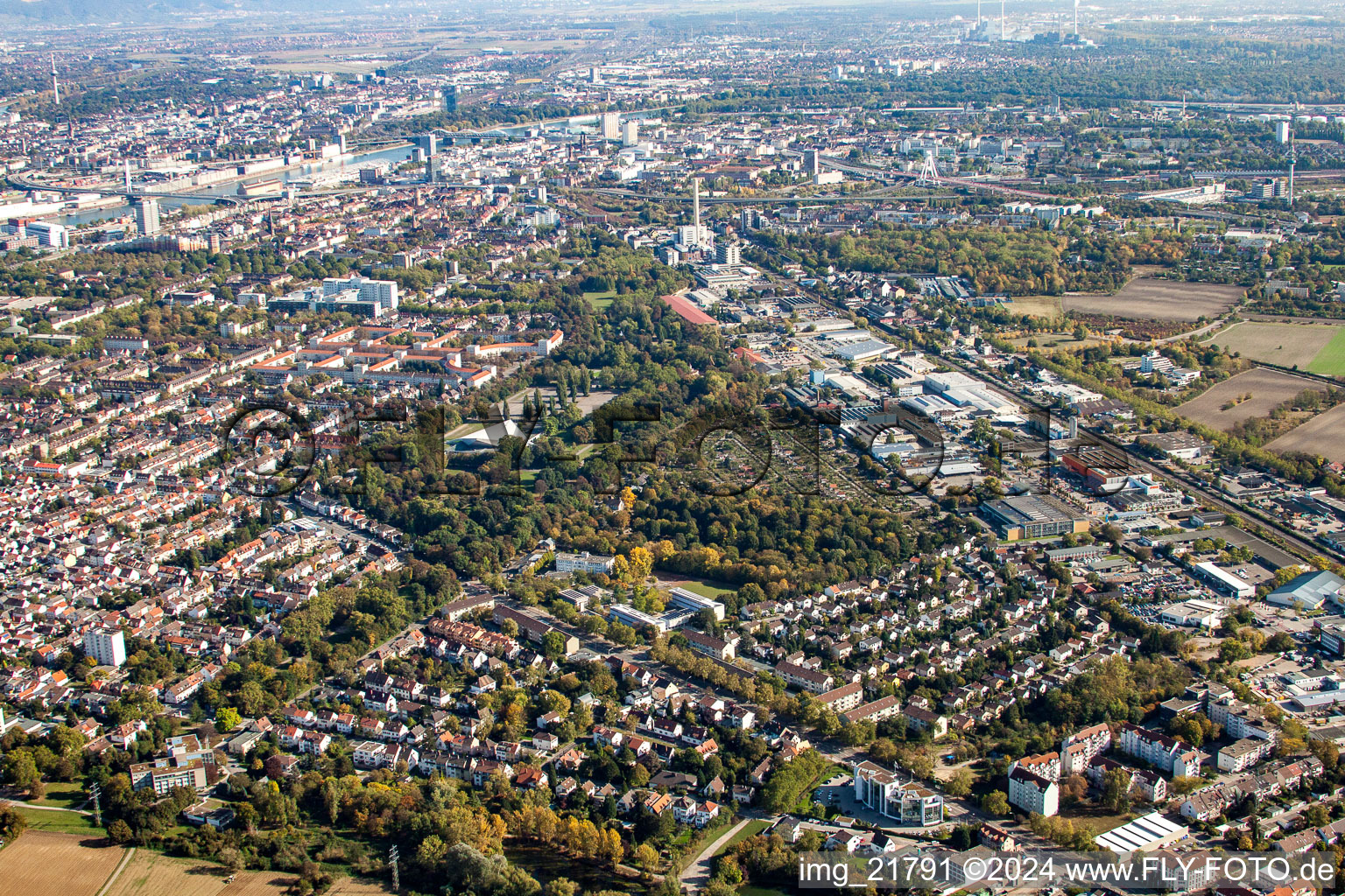 Vue oblique de Quartier Friesenheim in Ludwigshafen am Rhein dans le département Rhénanie-Palatinat, Allemagne