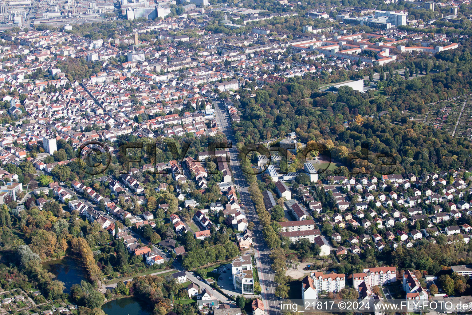 Vue aérienne de Rue Stern à le quartier Friesenheim in Ludwigshafen am Rhein dans le département Rhénanie-Palatinat, Allemagne