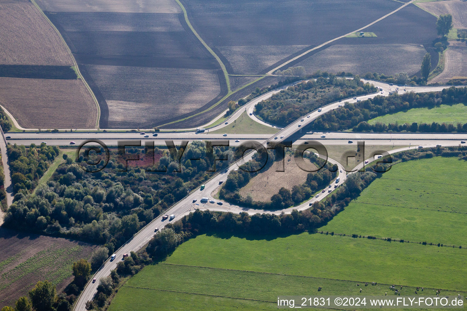 Vue aérienne de A65 sortie Sud à le quartier Oggersheim in Ludwigshafen am Rhein dans le département Rhénanie-Palatinat, Allemagne