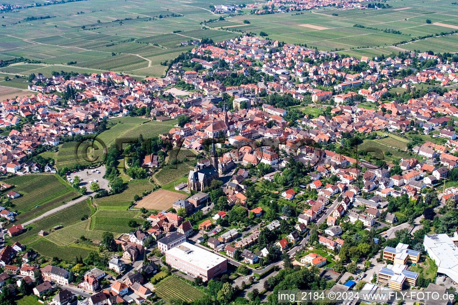 Vue aérienne de Champs agricoles et surfaces utilisables à Edenkoben dans le département Rhénanie-Palatinat, Allemagne