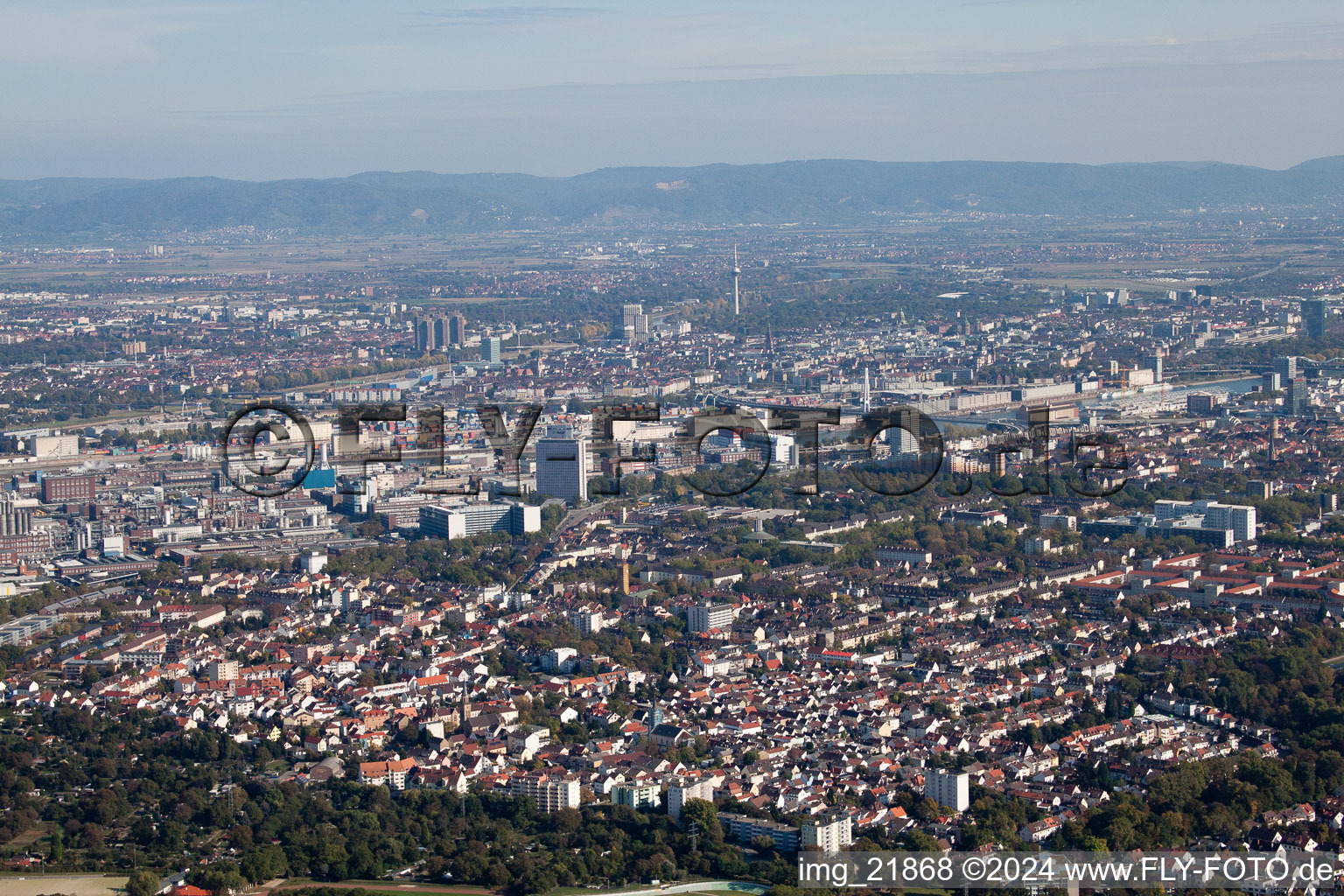 Vue aérienne de BASF Sud à le quartier Friesenheim in Ludwigshafen am Rhein dans le département Rhénanie-Palatinat, Allemagne