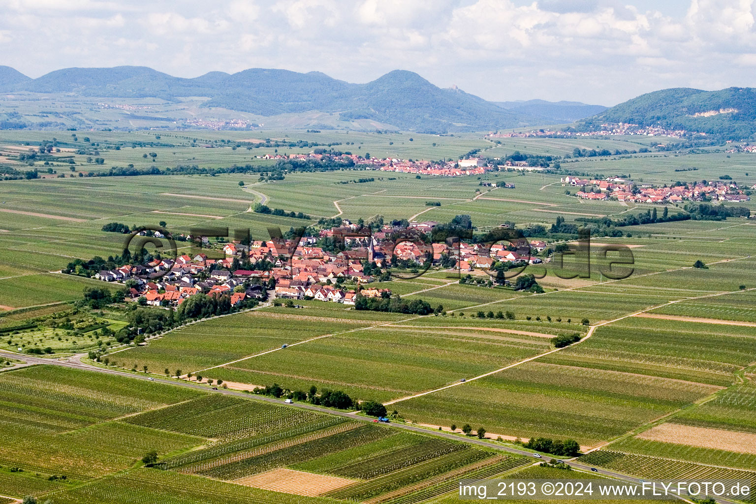 Vue aérienne de Vignobles à Roschbach dans le département Rhénanie-Palatinat, Allemagne