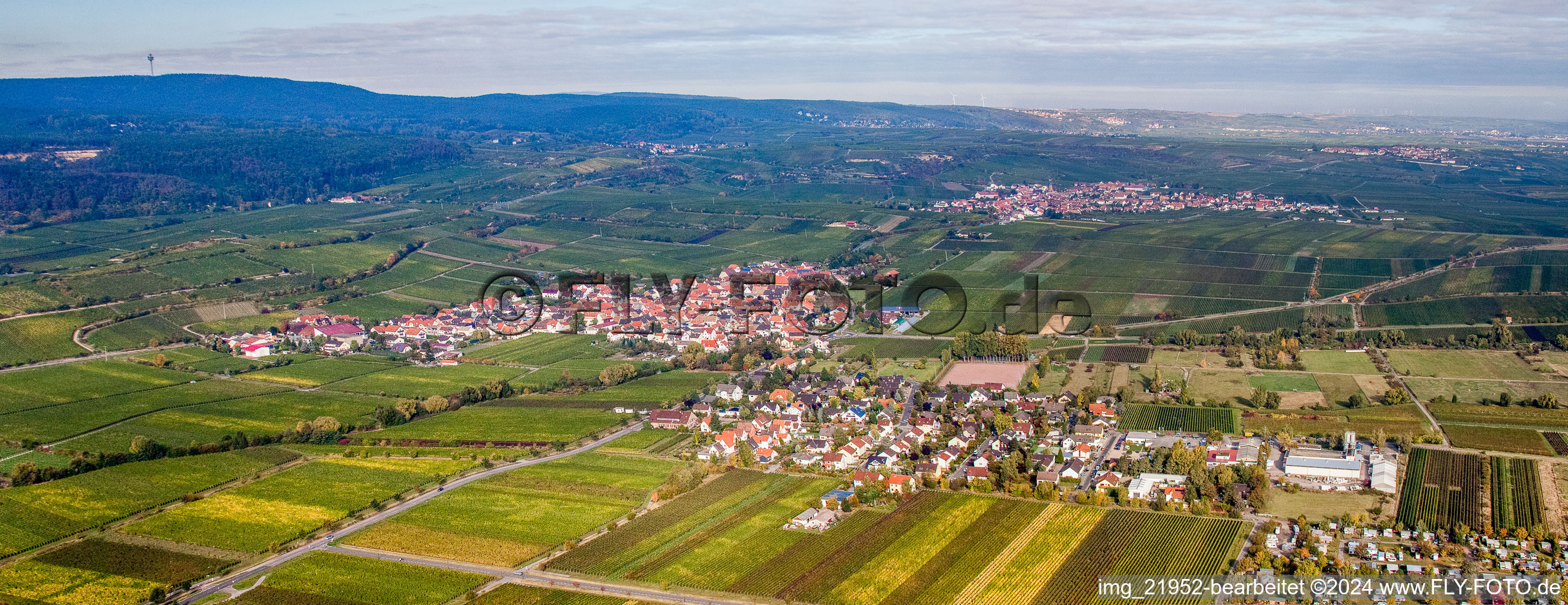 Vue aérienne de Panorama des vignobles du Haardtrand à Kallstadt dans le département Rhénanie-Palatinat, Allemagne