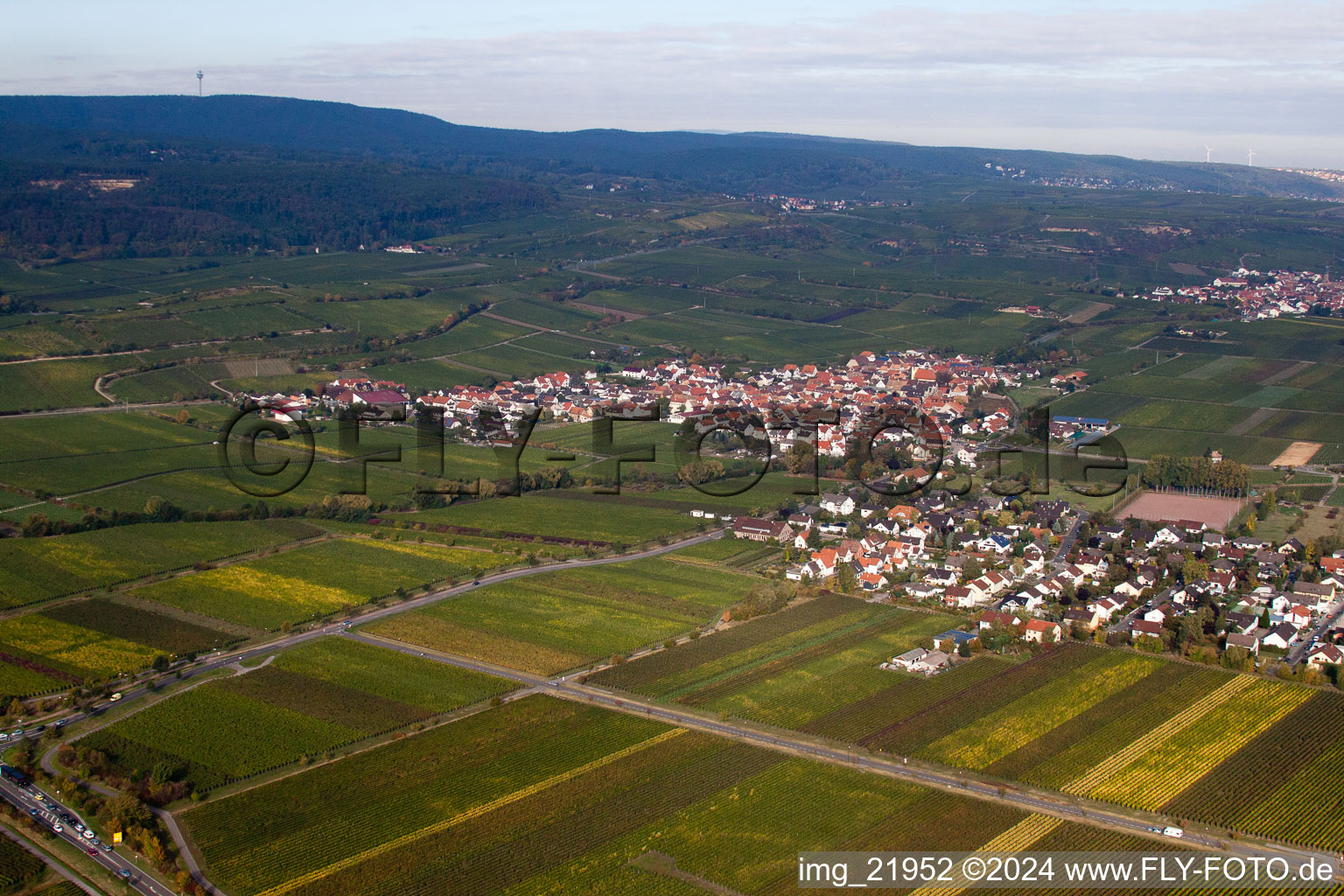 Vue aérienne de Kallstadt dans le département Rhénanie-Palatinat, Allemagne