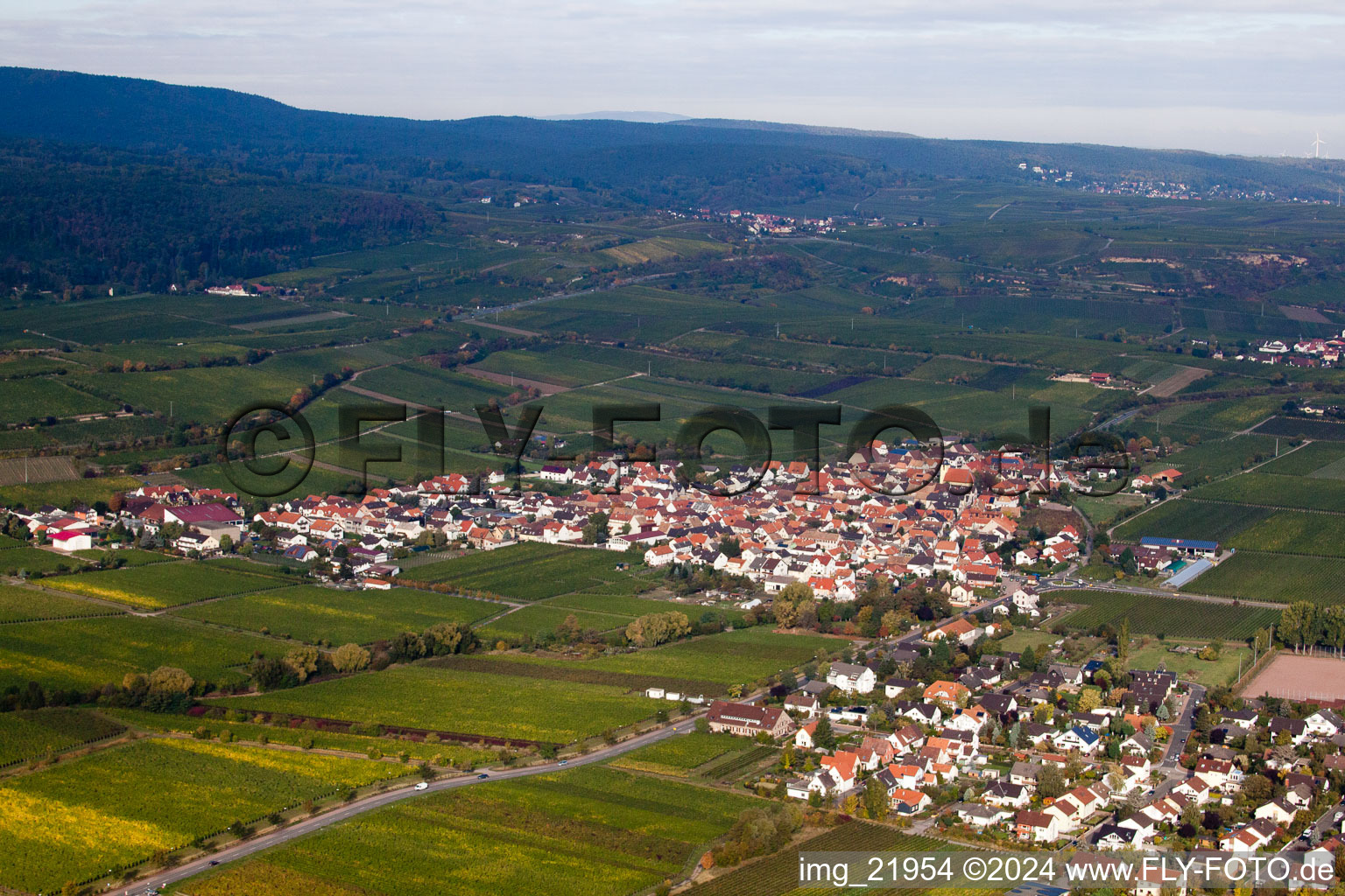 Vue aérienne de Vignobles et zones agricoles à le quartier Ungstein in Bad Dürkheim dans le département Rhénanie-Palatinat, Allemagne