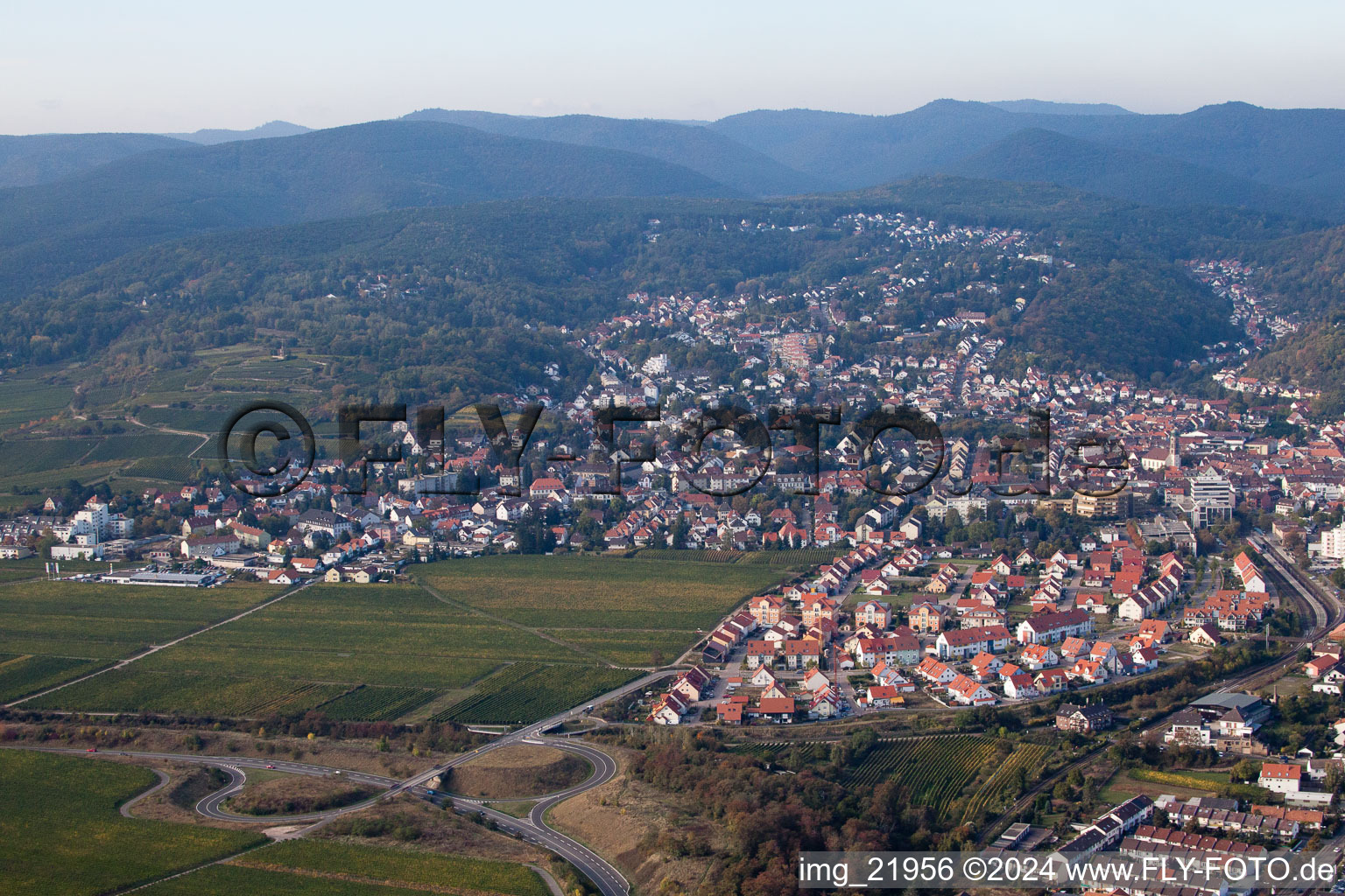 Vue aérienne de Bad Dürkheim dans le département Rhénanie-Palatinat, Allemagne