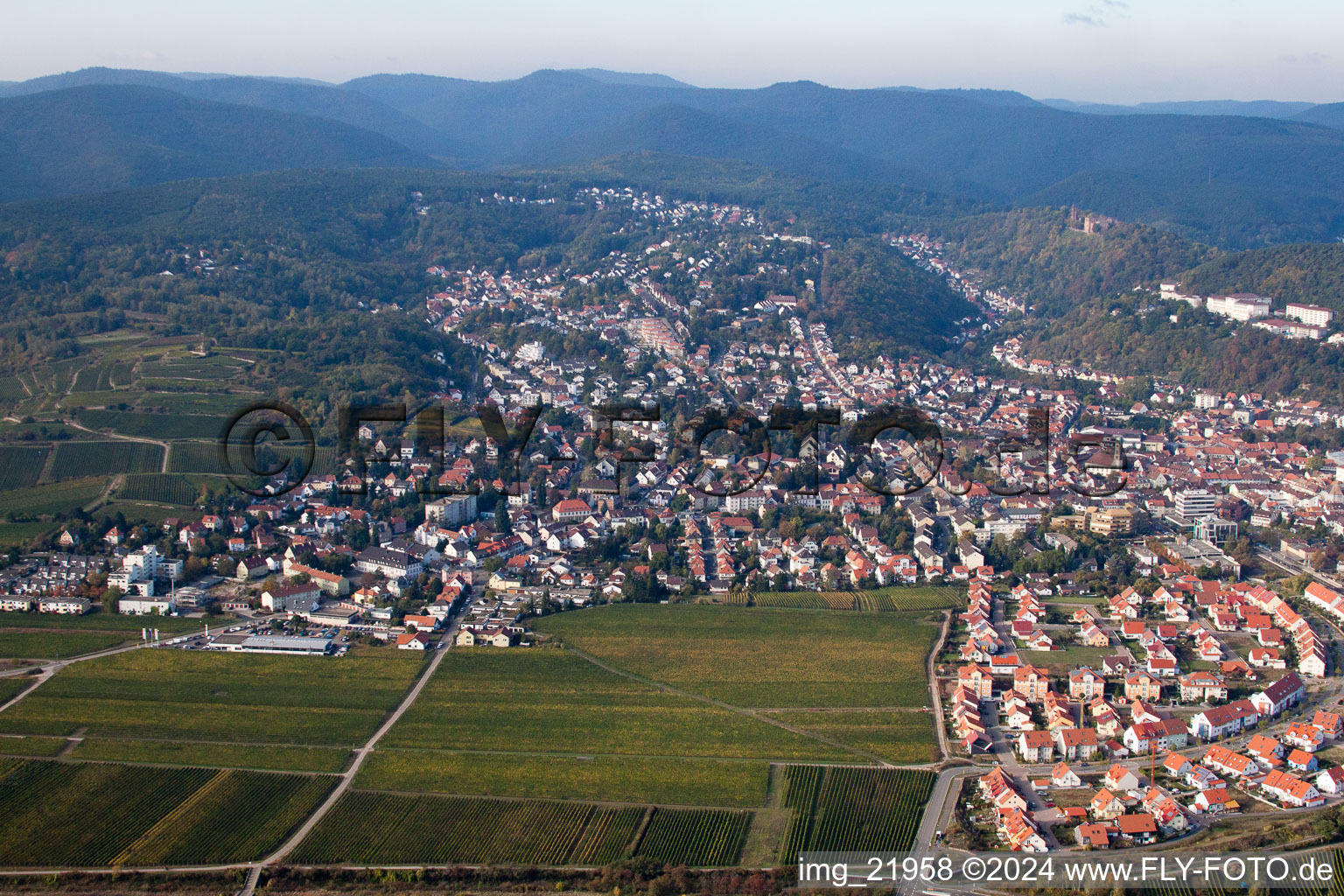 Vue aérienne de Quartier Seebach in Bad Dürkheim dans le département Rhénanie-Palatinat, Allemagne