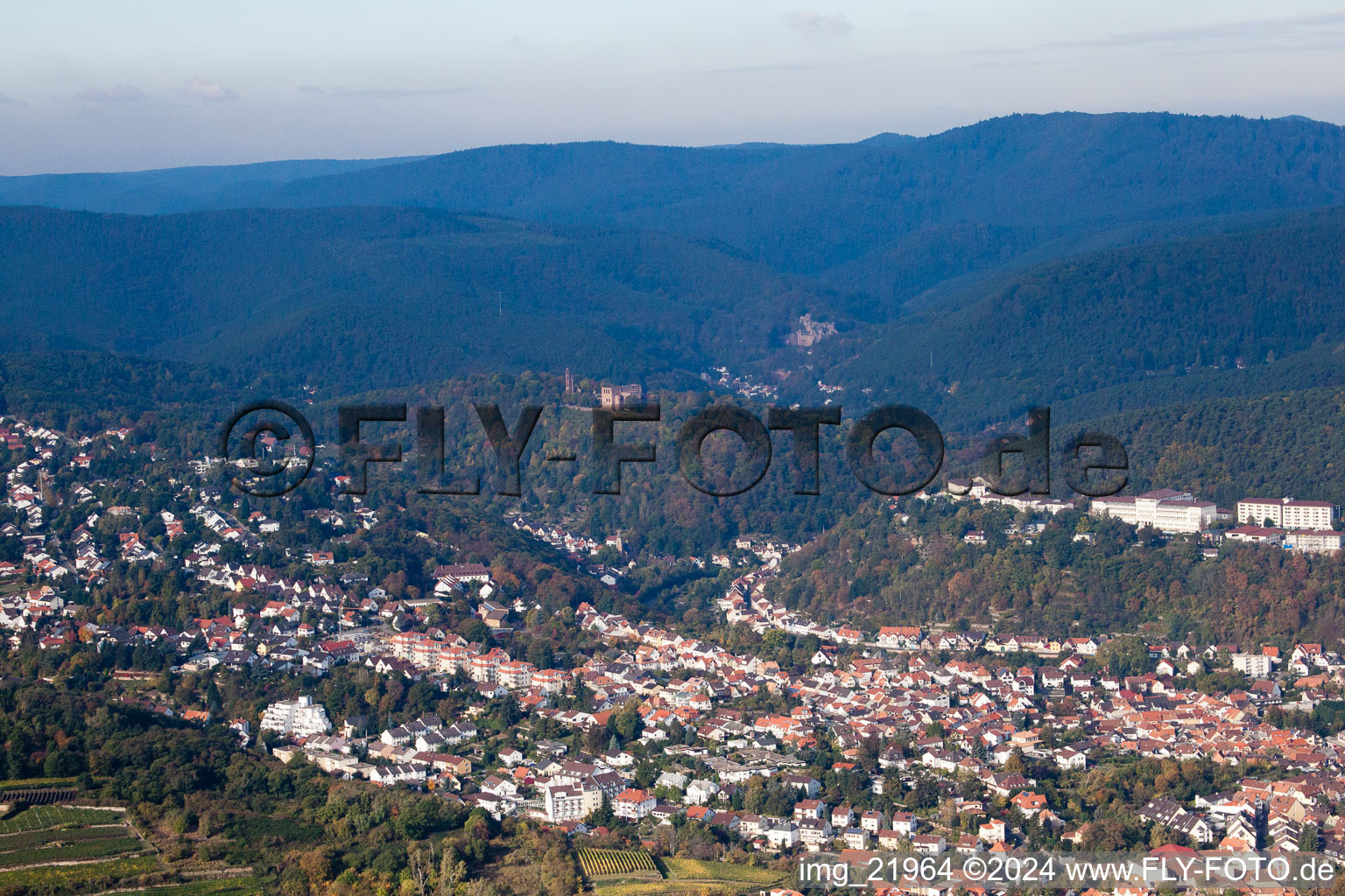 Vue oblique de Quartier Wachenheim in Wachenheim an der Weinstraße dans le département Rhénanie-Palatinat, Allemagne