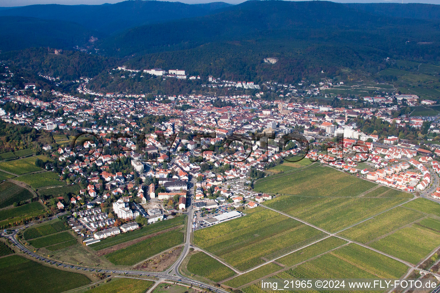 Photographie aérienne de Bad Dürkheim dans le département Rhénanie-Palatinat, Allemagne