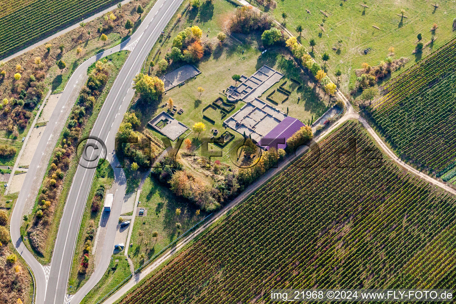 Vue aérienne de Quartier Wachenheim in Wachenheim an der Weinstraße dans le département Rhénanie-Palatinat, Allemagne