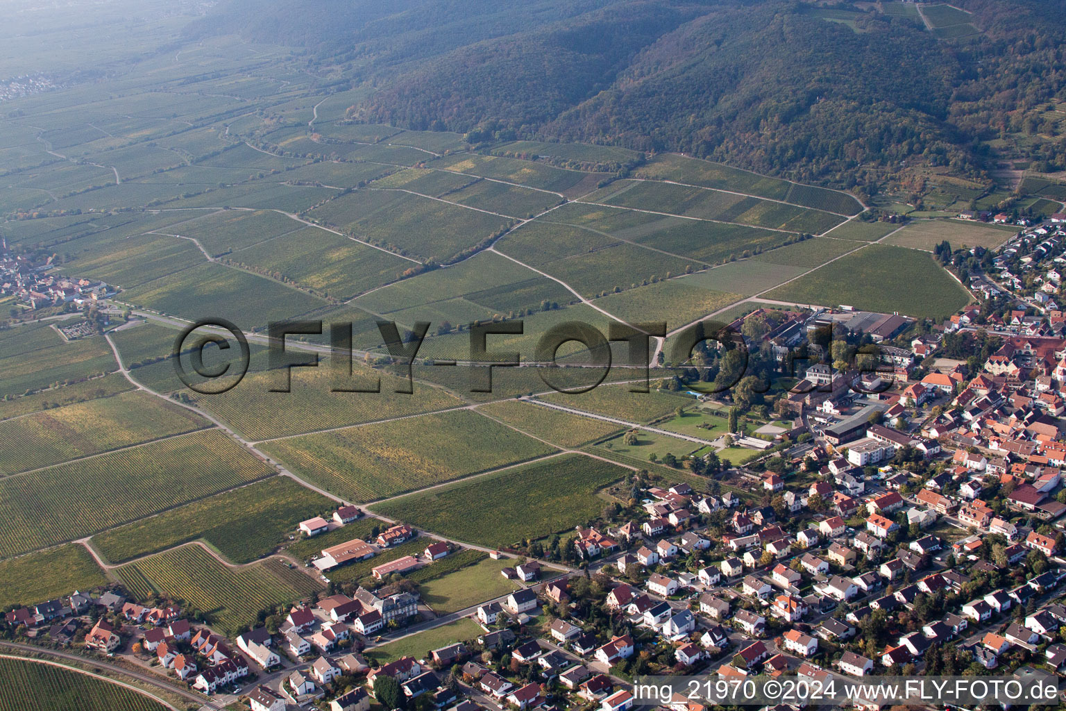 Wachenheim an der Weinstraße dans le département Rhénanie-Palatinat, Allemagne d'en haut