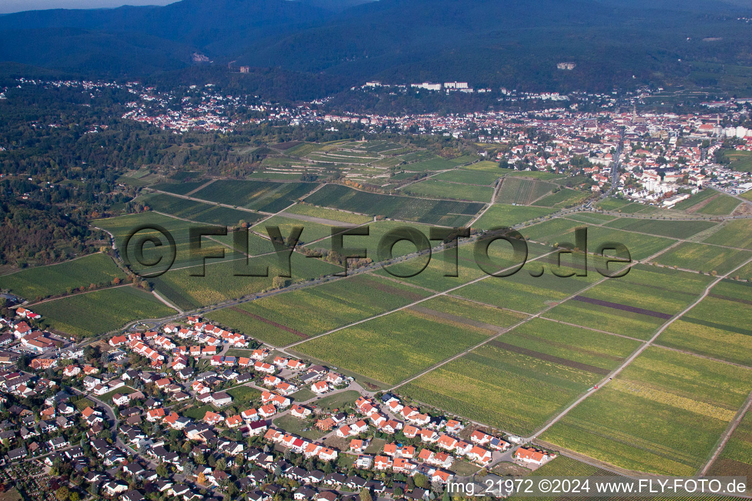 Wachenheim an der Weinstraße dans le département Rhénanie-Palatinat, Allemagne vue d'en haut