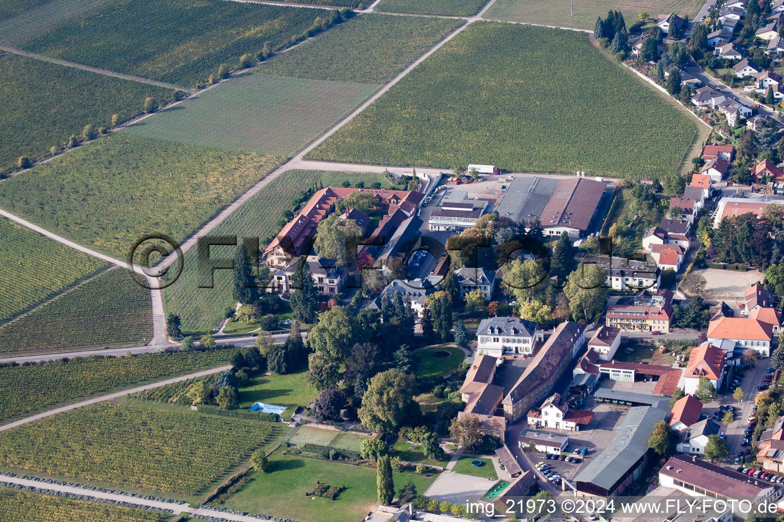 Wachenheim an der Weinstraße dans le département Rhénanie-Palatinat, Allemagne depuis l'avion