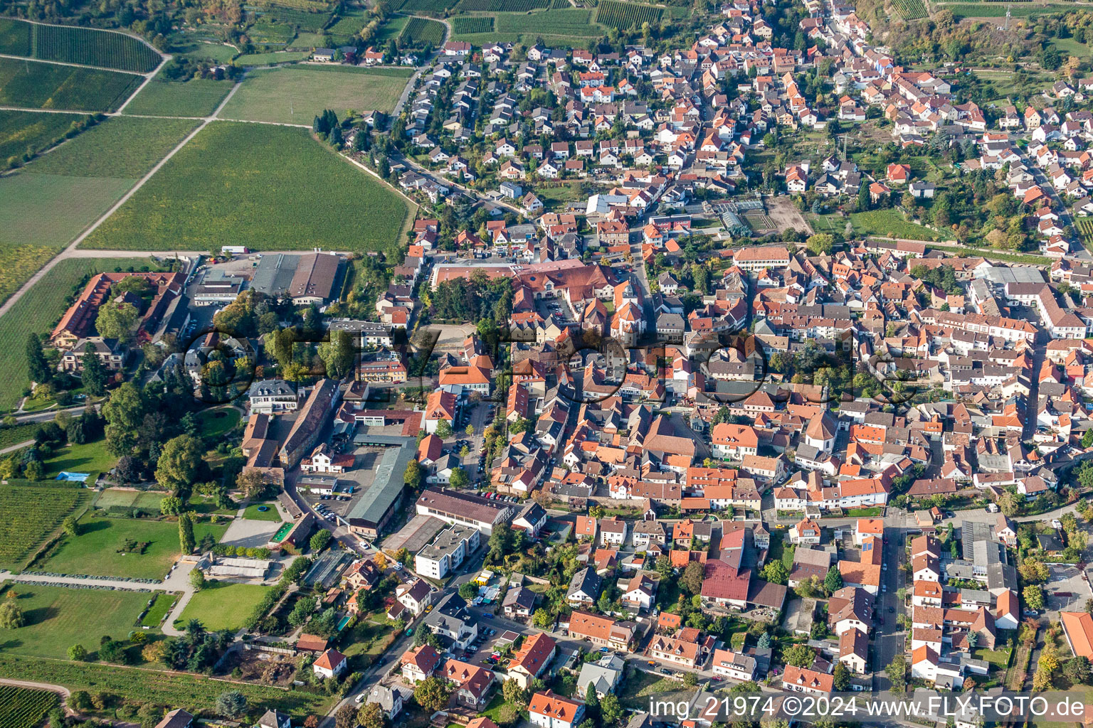 Vue aérienne de Vue des rues et des maisons des quartiers résidentiels à le quartier Wachenheim in Wachenheim an der Weinstraße dans le département Rhénanie-Palatinat, Allemagne