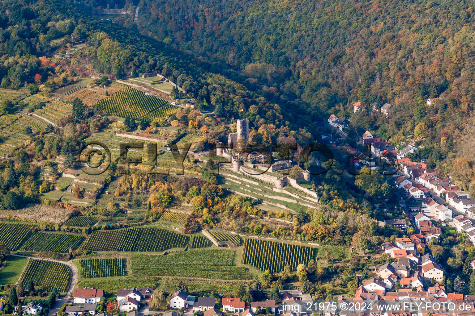 Vue aérienne de Quartier Wachenheim in Wachenheim an der Weinstraße dans le département Rhénanie-Palatinat, Allemagne